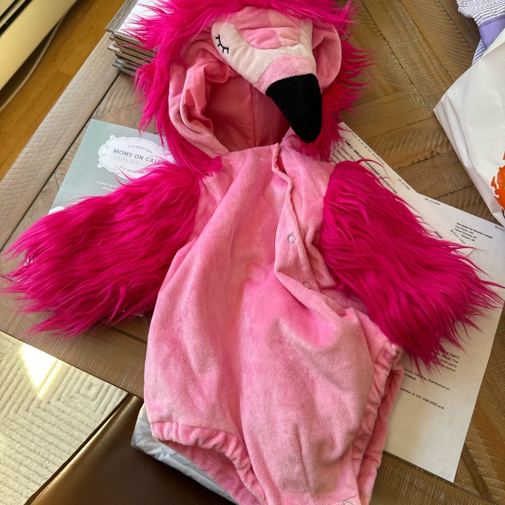 Pink Flamingo Costume (pottery barn)